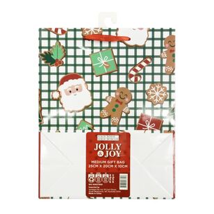 Jolly & Joy Medium Variety Print Christmas Gift Bag Multicoloured