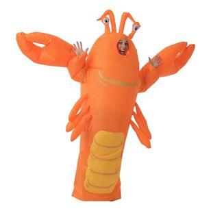 Spartys Inflatable Lobster Costume Multicoloured