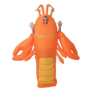 Spartys Inflatable Lobster Costume Multicoloured