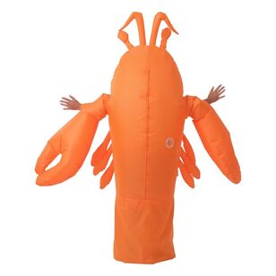 Spartys Inflatable Lobster Costume Multicoloured