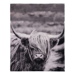 Brampton House Printed Super Soft Highland Cow Blanket White 180 x 220 cm