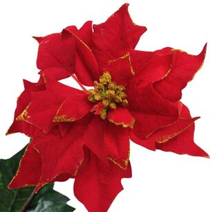 Jolly & Joy Christmas Single Poinsettia Red 62 cm