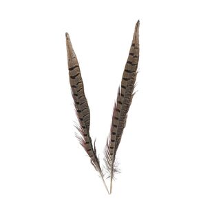 Maria George Pheasant Feathers Natural