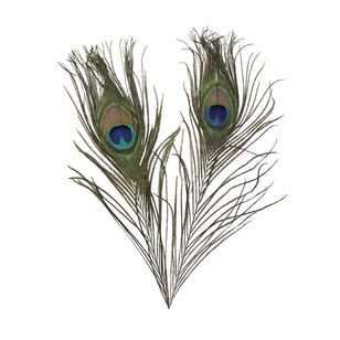 Maria George Natural Peacock Feathers Multicoloured