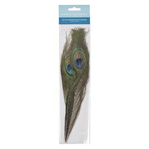 Maria George Natural Peacock Feathers Multicoloured