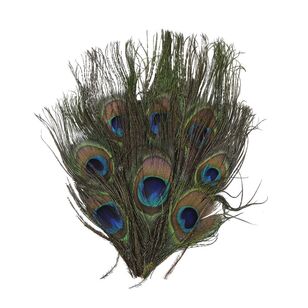 Maria George Peacock Feather Pad Multicoloured