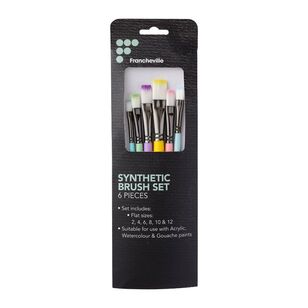 Francheville Rainbow Flat Synthetic Paint Brush Set  Multicoloured