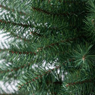 Jolly & Joy 180 cm Pine Spruce Christmas Green