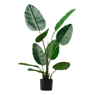 Emerald Hill Banana Palm Green 100 cm