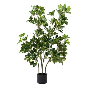 Emerald Hill Umbrella Plant Green 120 cm