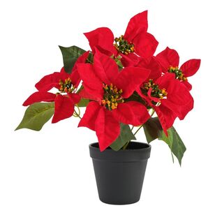 Jolly & Joy Christmas Red Poinsettia In Plant Pot Red 22.86 x 29.2 cm