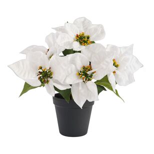 Jolly & Joy Christmas White Poinsettia In Plant Pot White 22.86 x 29.2 cm