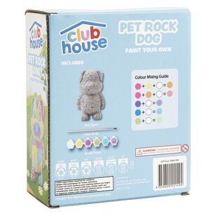 Club House Create Your Own Pet Rock Dog Kit Multicoloured