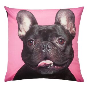 Brampton House Photo Real Frenchie Cushion Frenchie 45 x 45 cm