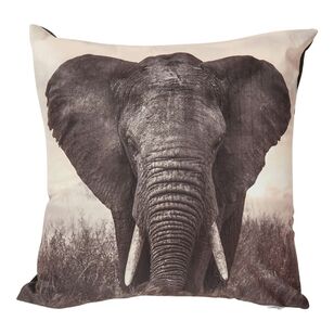 Brampton House Photo Real Kenya Cushion Kenya 45 x 45 cm