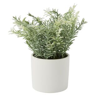 Green Room Rosemary In Ceramic Pot Green & White 25 x 31 cm