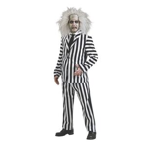 Beetlejuice Deluxe Adult Costume Multicoloured XL