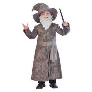 Wise Wizard Kids Costume Multicoloured