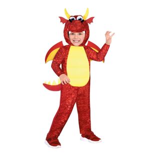 Dragon Boys Kids Costume Multicoloured