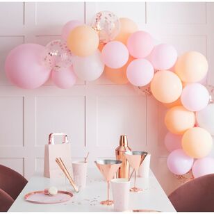 Ginger Ray Blush Hen Balloon Arch Multicoloured Various Sizes