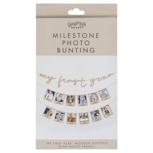 Ginger Ray First Birthday Milestone Photo Bunting Multicoloured