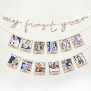 Ginger Ray First Birthday Milestone Photo Bunting Multicoloured