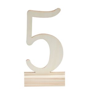 Ginger Ray Beautiful Botanics Wooden Table Numbers Multicoloured