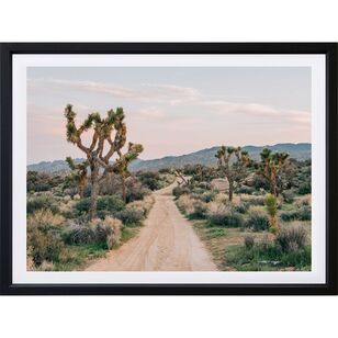 Arbour Studio Walk In The Desert Print Black Frame Wide Border