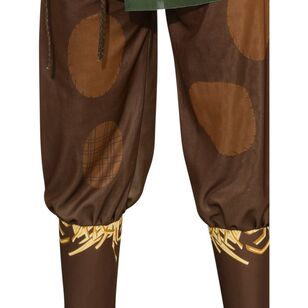 Warner Bros Scarecrow Men's Costume Multicoloured Standard