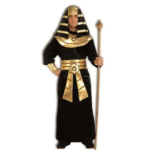 Pharaoh Adult Costume Multicoloured Standard