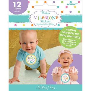 Baby Shower Milestone Stickers Multicoloured