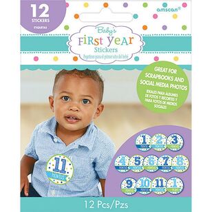 Baby Shower Month by Month Boy Stickers Multicoloured